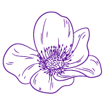 Thin-line-illustration-of-a-flower-icon